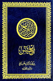 Quarter of Yasin in Ottoman drawing